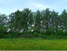 20250612 ������-600 ���������� 094446.jpg