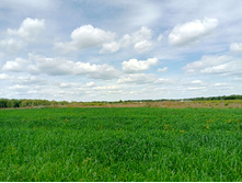 20250629 ����� ����� 131926.jpg