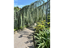 2025-07-07 07-44-58 (21).jpeg