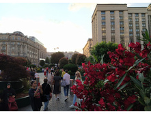 IMG 20250616 194751.jpg