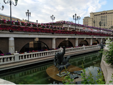 IMG 20250616 185509.jpg