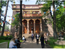 IMG 20250612 144426.jpg