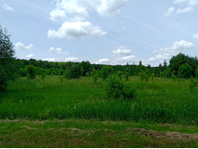 20250612 ������-600 ���������� 121849.jpg