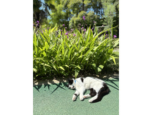 2025-07-07 07-44-58 (26).jpeg