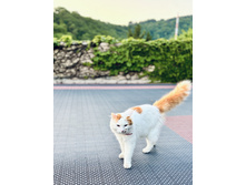 2025-07-07 07-44-58 (75).jpeg