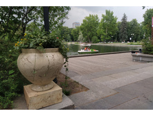 IMG 20250617 143729.jpg