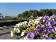 IMG 20250615 182214.jpg