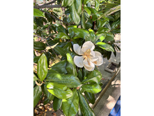 2025-07-07 07-44-58 (87).jpeg