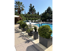 2025-07-07 07-44-58 (88).jpeg