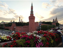 IMG 20250616 202641.jpg