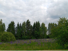 20250612 ������-600 ���������� 182324.jpg