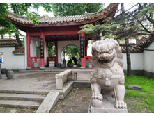 IMG 20250611 200044.jpg