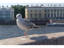 IMG 20250615 163108.jpg