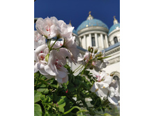 IMG 20250614 161829.jpg