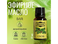 ������� ����� «�����», ������-����������, 17 �� «�����������»