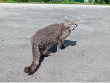 20250629 ����� ����� 122414.jpg