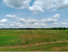 20250612 ������-600 ���������� 131118.jpg