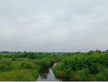 20250613 ������-600 ���������� 083418.jpg