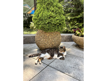 2025-07-07 07-44-58 (14).jpeg