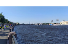 IMG 20250615 143158.jpg