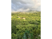 2025-07-07 07-44-58 (3).jpeg