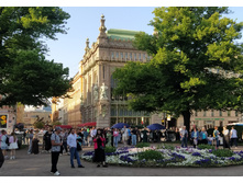 IMG 20250614 190040.jpg