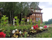 IMG 20250609 141802.jpg