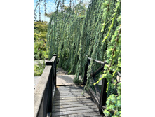 2025-07-07 07-44-58 (19).jpeg