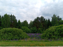 20250612 ������-600 ���������� 182221.jpg