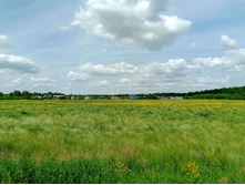 20250612 ������-600 ���������� 135803.jpg