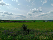 20250612 ������-600 ���������� 141553.jpg