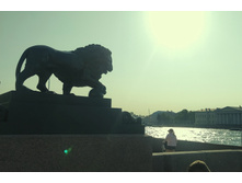 IMG 20250615 184122.jpg