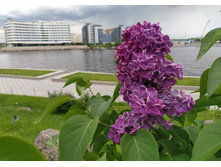 IMG 20250611 154207.jpg