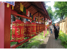 IMG 20250612 145856.jpg