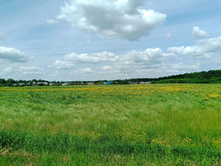 20250612 ������-600 ���������� 135759.jpg