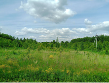 20250612 ������-600 ���������� 135859.jpg