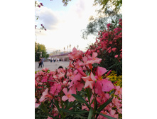 IMG 20250616 194250.jpg