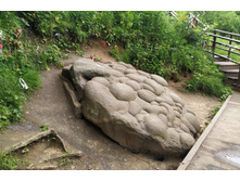 IMG 20250609 144058.jpg