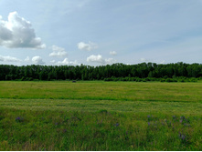 20250612 ������-600 ���������� 085149.jpg