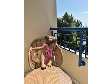 2025-07-07 07-44-58 (69).jpeg