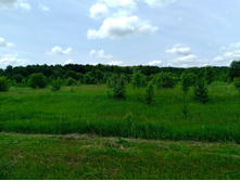 20250612 ������-600 ���������� 121856.jpg