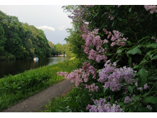 IMG 20250612 191125.jpg