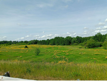 20250612 ������-600 ���������� 094139.jpg