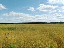 20250629 ����� ����� 124328.jpg