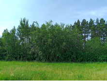 20250612 ������-600 ���������� 093658.jpg