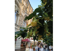 IMG 20250616 200206.jpg