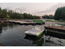 IMG 20250609 202843.jpg