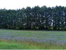 20250705 ������-400 ����������� 104042.jpg