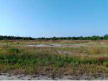 20250726 ������-600 ������� 171521.jpg