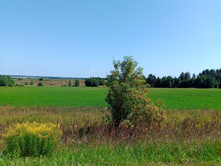 20250726 ������-600 ������� 114214.jpg